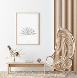 Dried Palm Fan