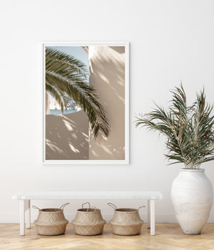 Mediterranean Palm