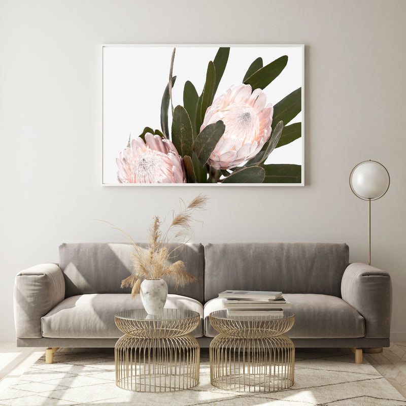 Pale Pink Proteas III