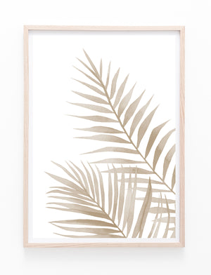 Palm Fronds