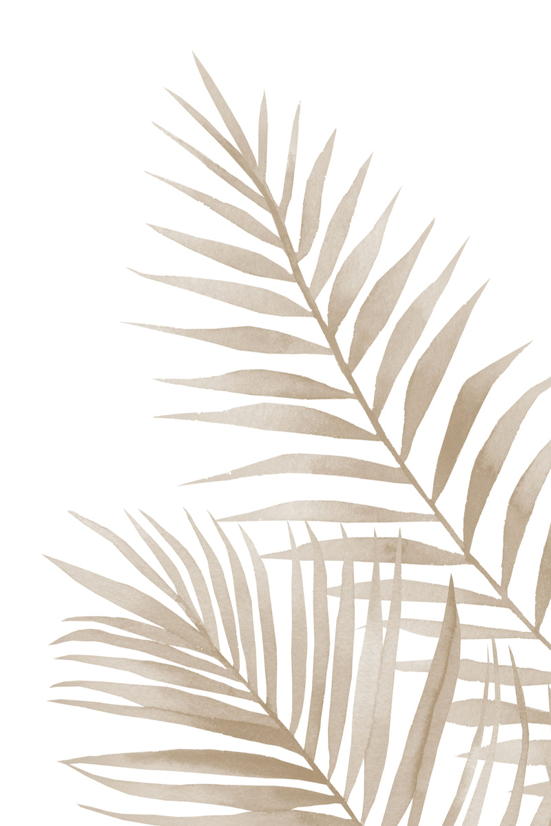 Palm Fronds